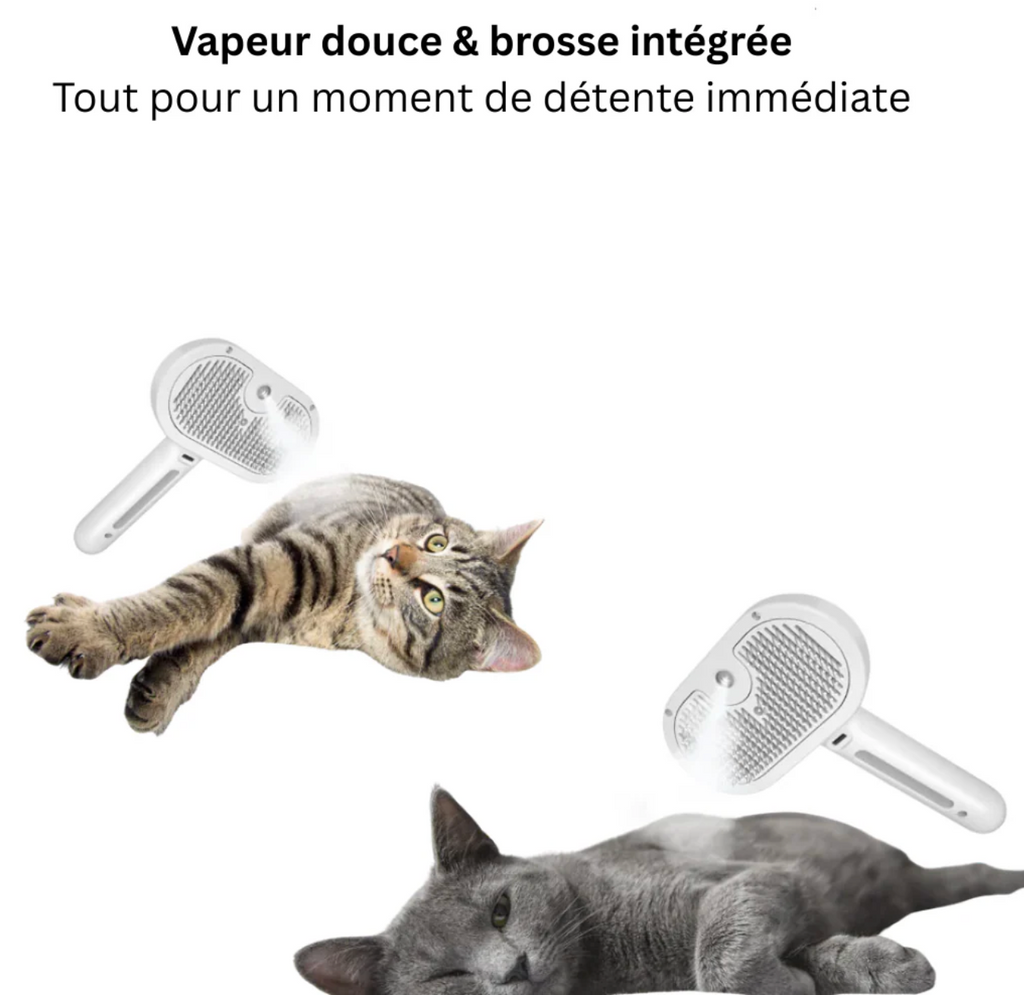 Brosse Anti-poils avec Brume Intégrée