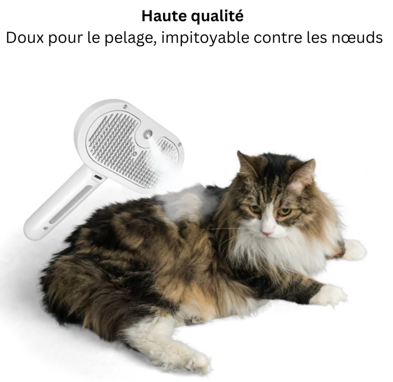 Brosse Anti-poils avec Brume Intégrée