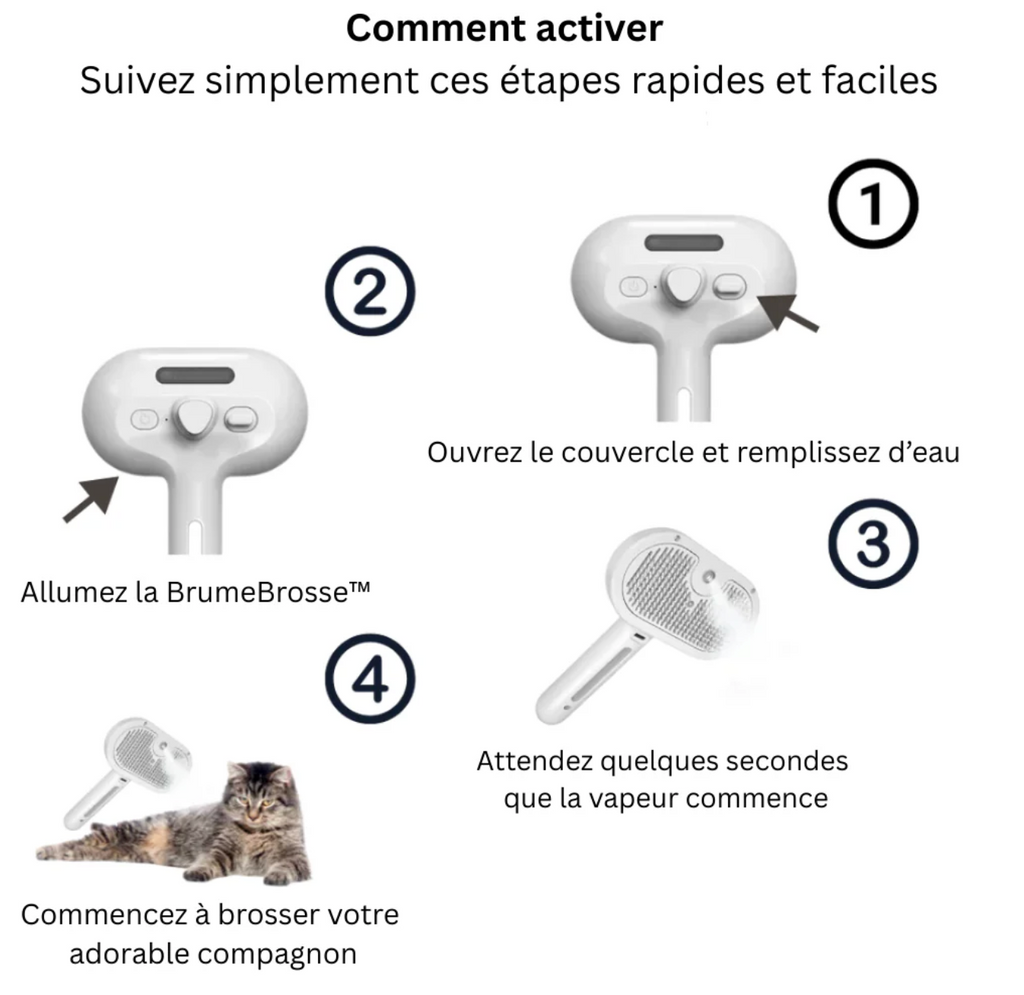 Brosse Anti-poils avec Brume Intégrée