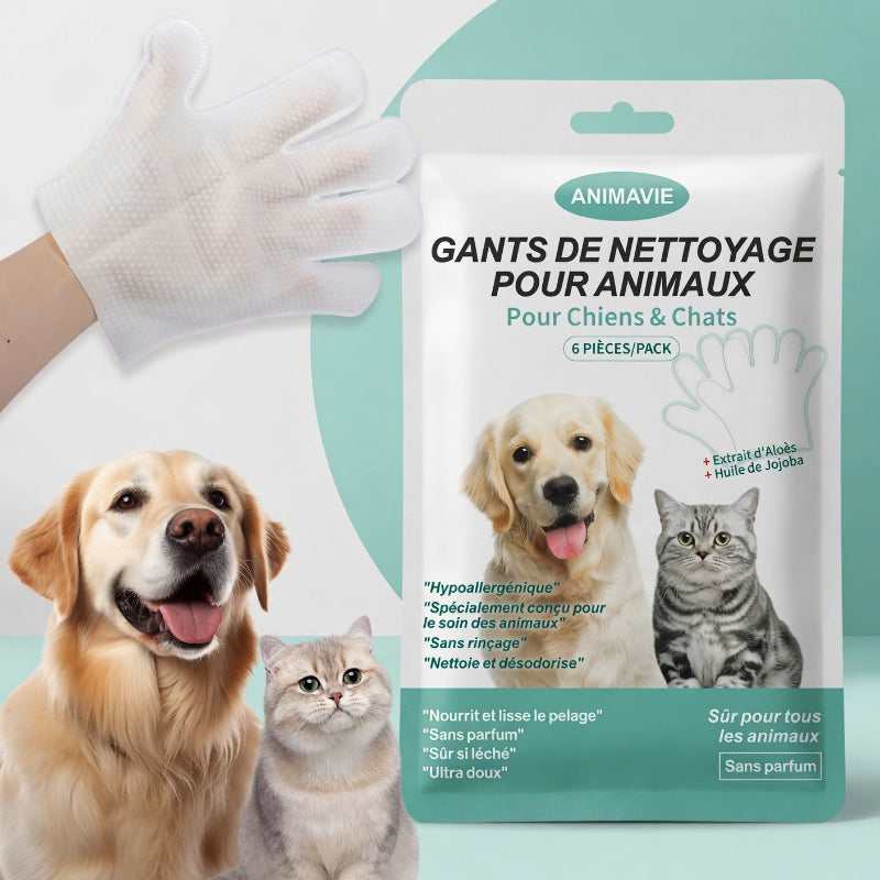 Gants Jetables de Soin | Pet Hygiene Shop