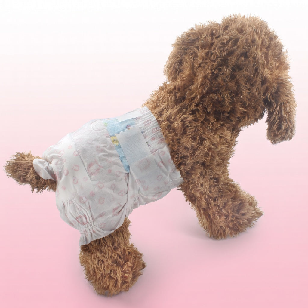 Culottes Hygiéniques Jetables pour Chiennes | Pet Hygiene Shop