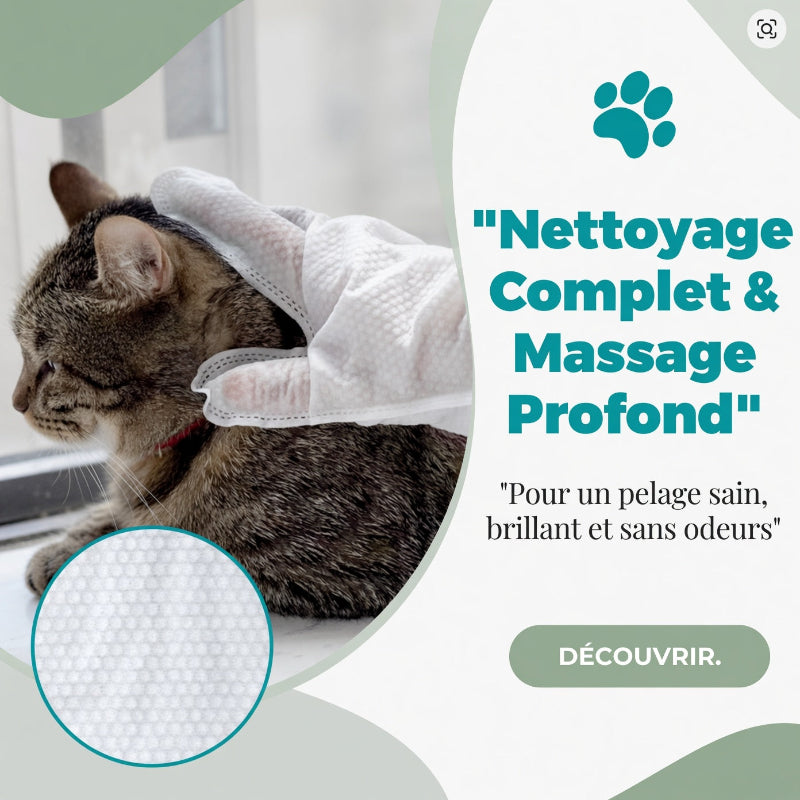 Gants Jetables de Soin | Pet Hygiene Shop