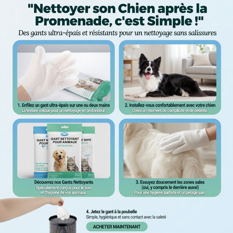 Gants Jetables de Soin | Pet Hygiene Shop