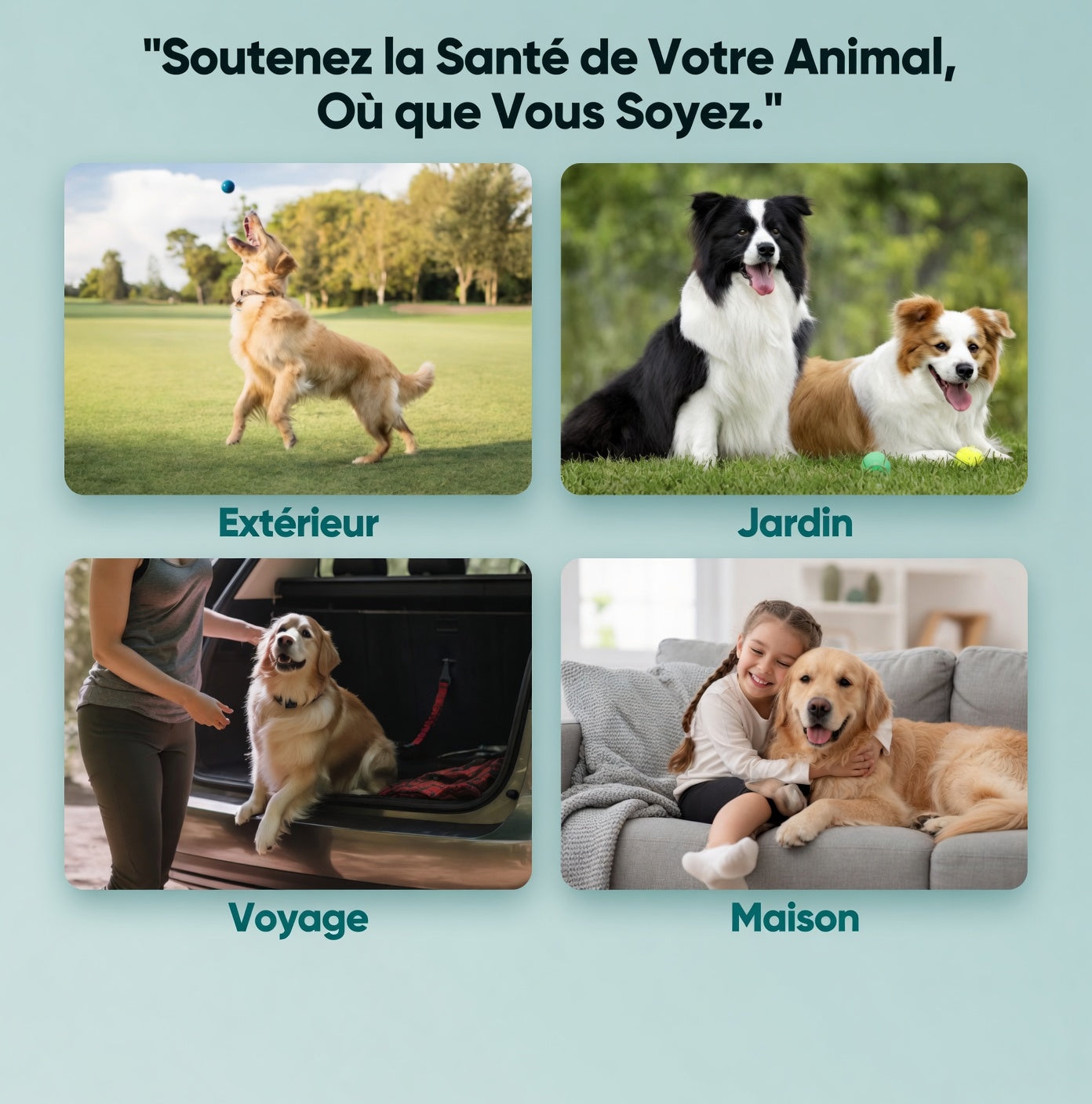 Lingettes Dentaires pour Chats & Chiens | Pet Hygiene Shop
