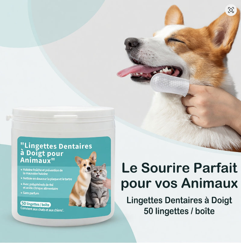 Lingettes Dentaires pour Chats & Chiens | Pet Hygiene Shop